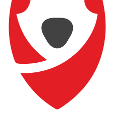 logo oryginal v